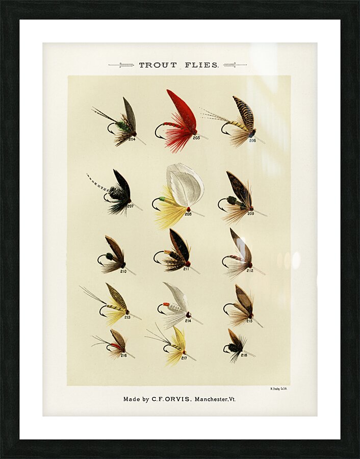 Trout Flies  Picture Frame print