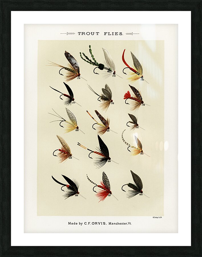 Trout Flies  Picture Frame print