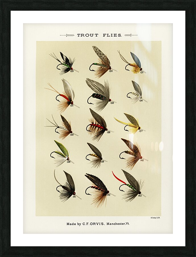 Trout Flies  Picture Frame print