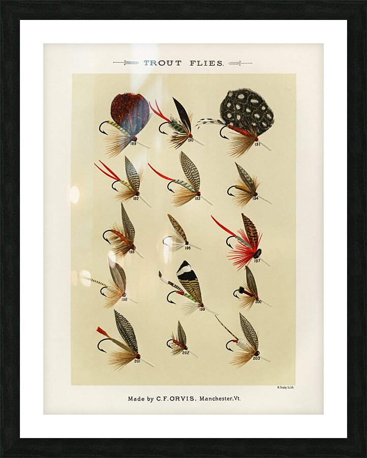 Trout Flies  Picture Frame print