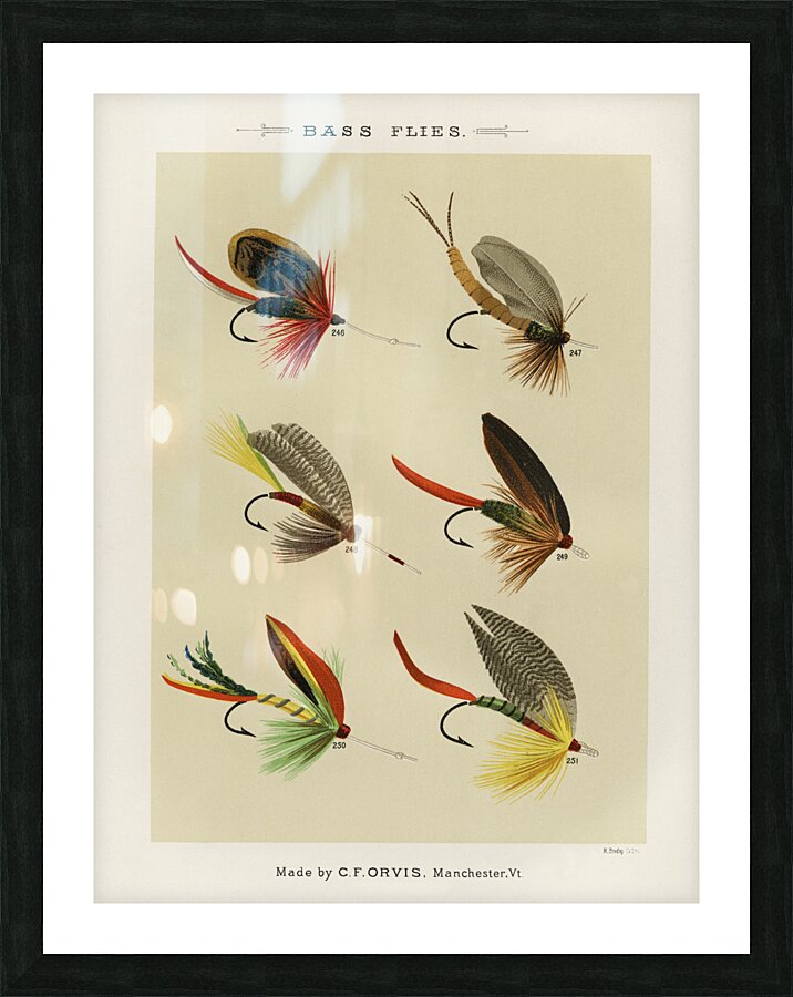 Bass Flies  Picture Frame print