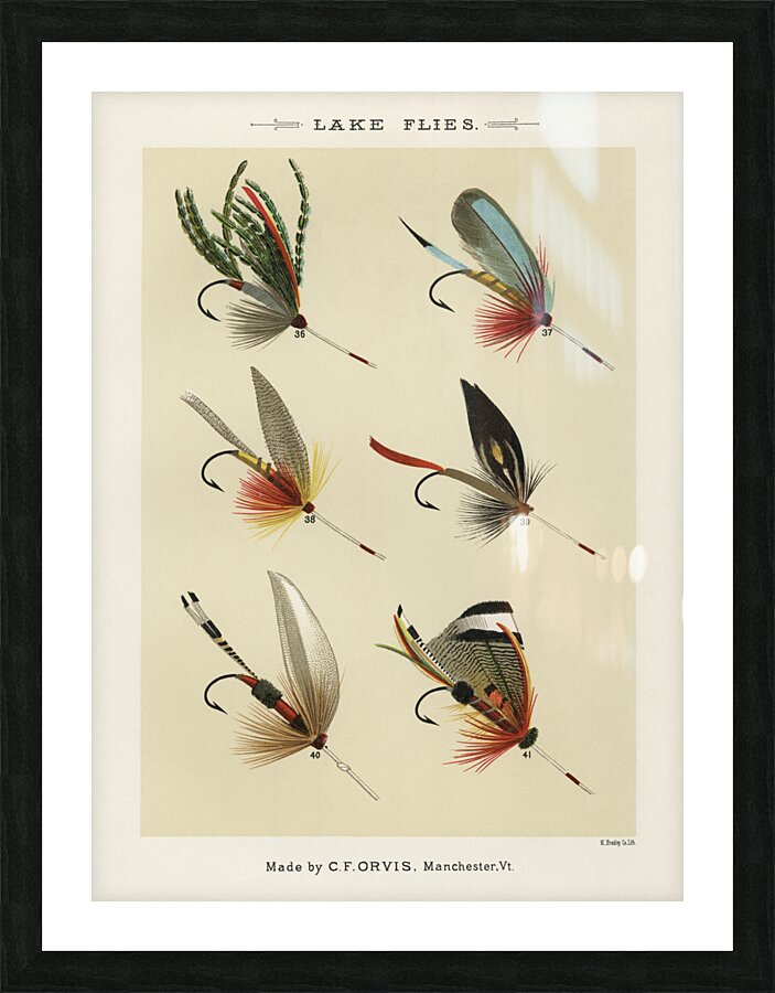 Lake Flies Picture Frame print