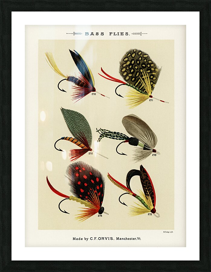 Bass Flies  Picture Frame print