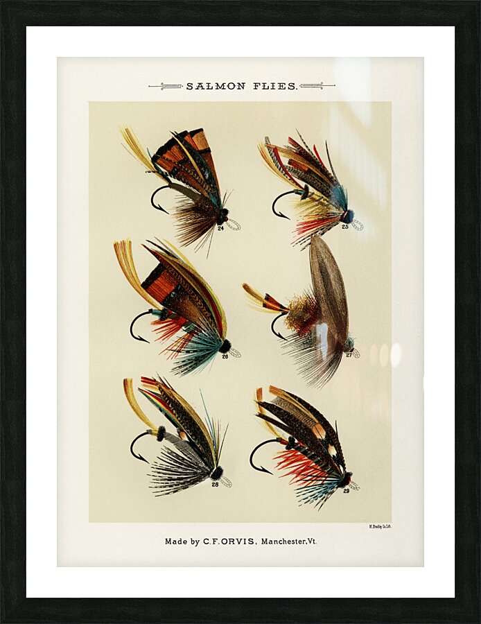 Salmon Flies  Picture Frame print