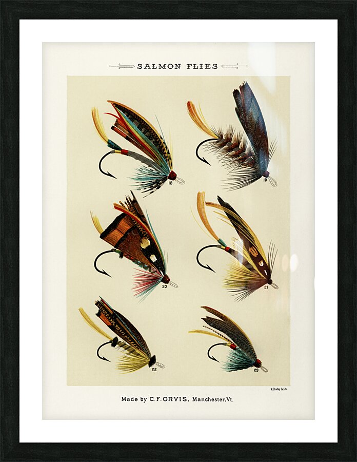 Salmon Flies Picture Frame print