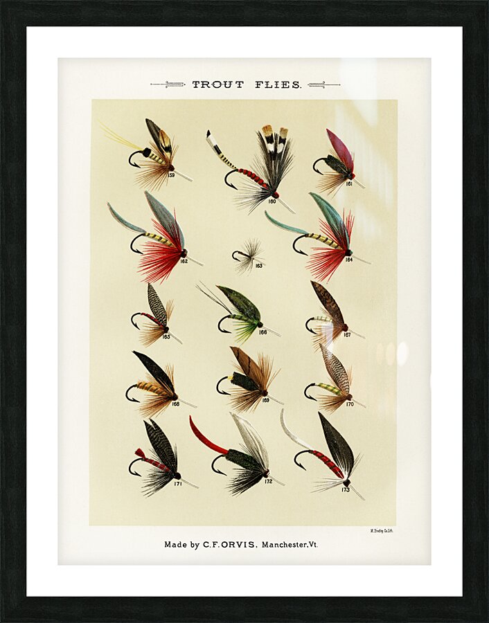 Trout Flies  Picture Frame print