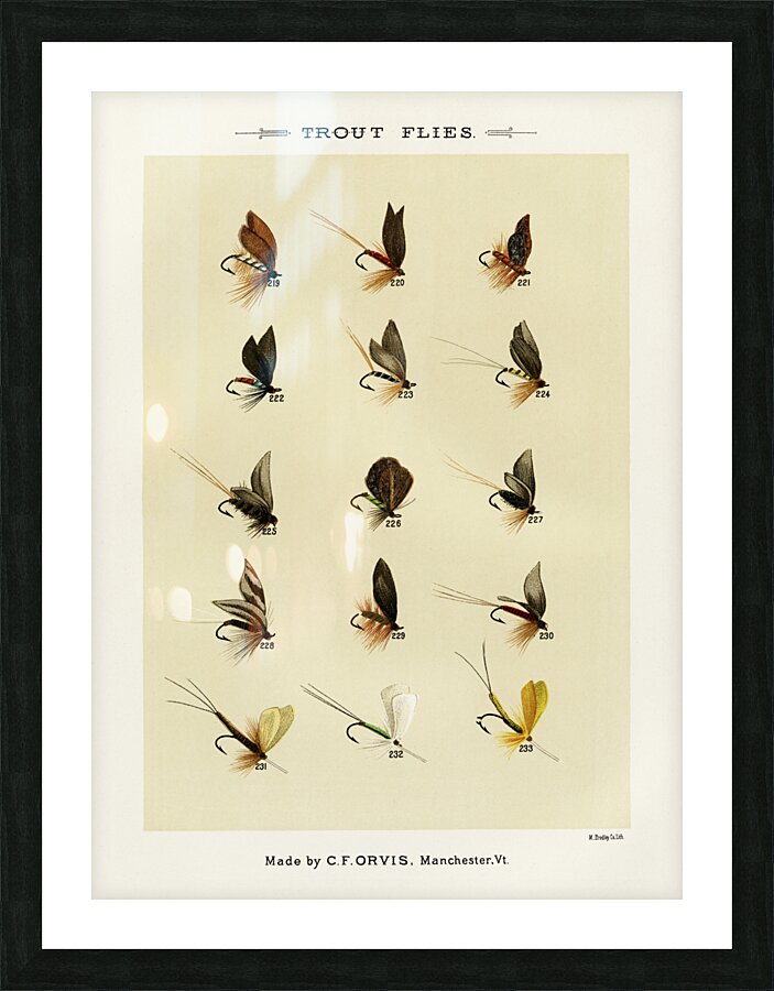 Trout Flies  Picture Frame print