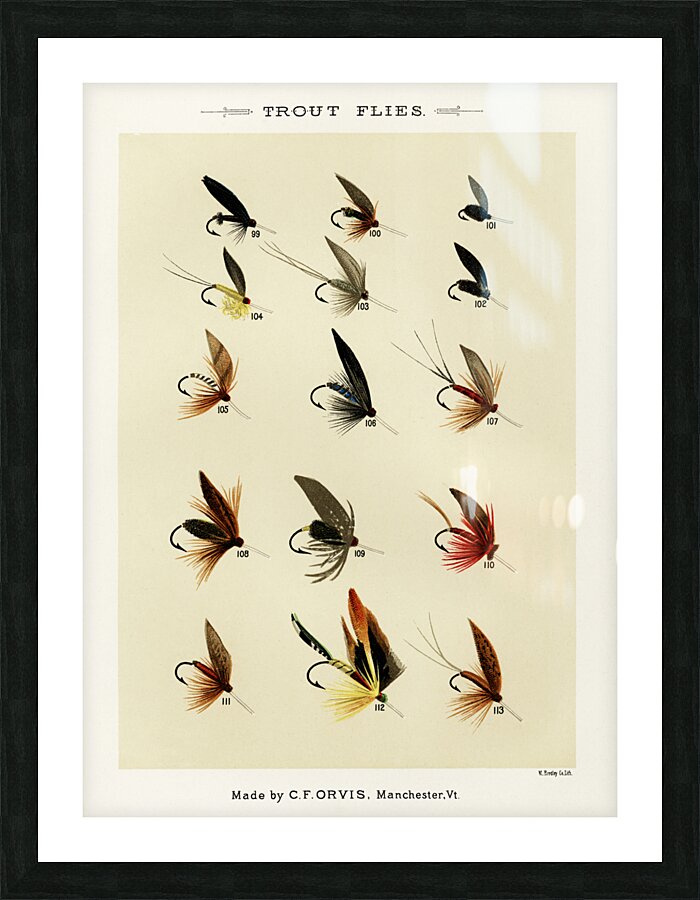 Trout Flies  Picture Frame print