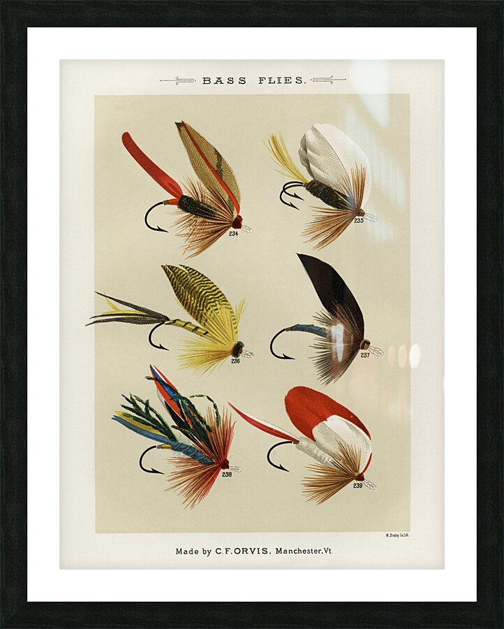 Bass Flies  Picture Frame print
