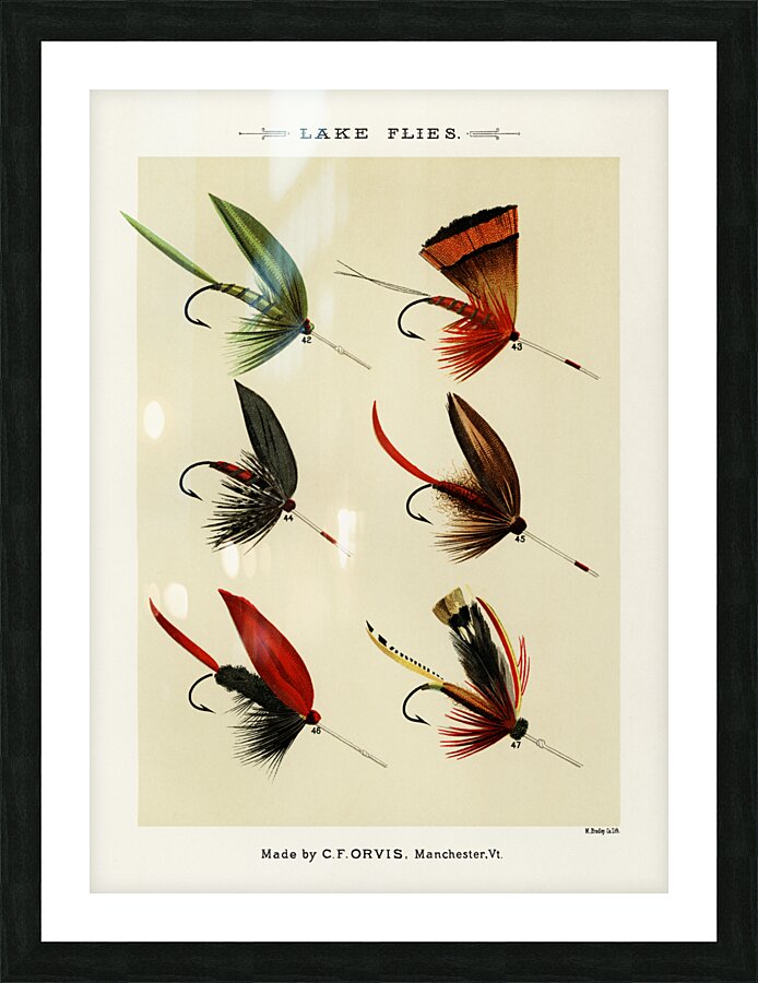 Lake Flies  Picture Frame print