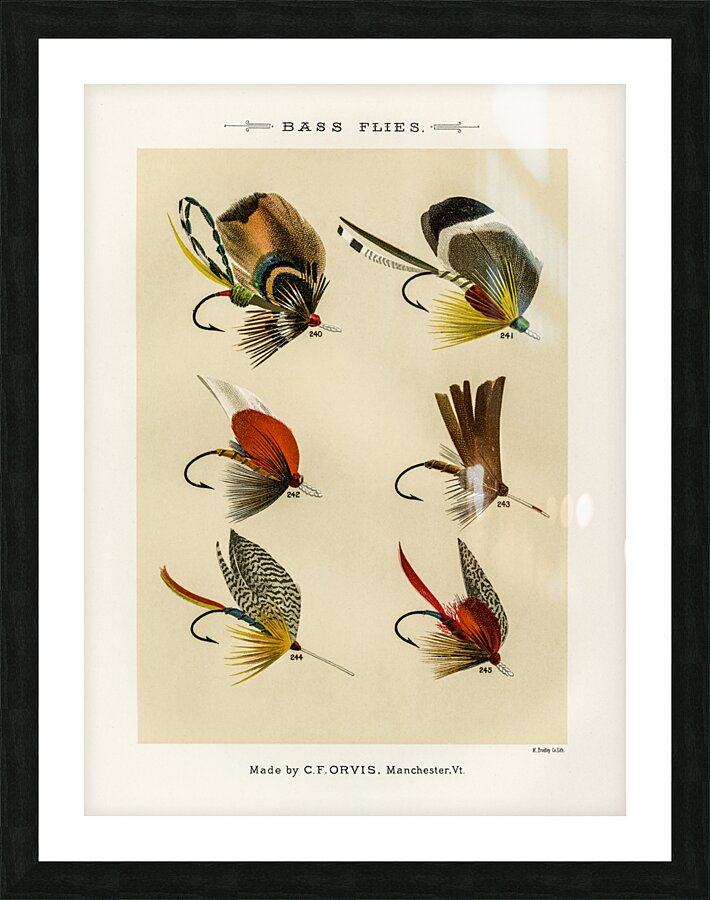 Bass Flies  Picture Frame print