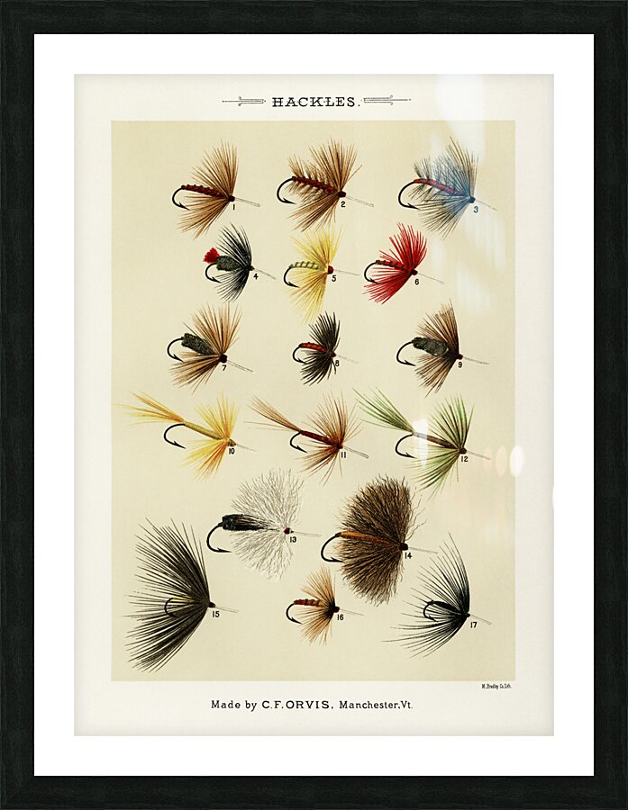 Hackles  Picture Frame print