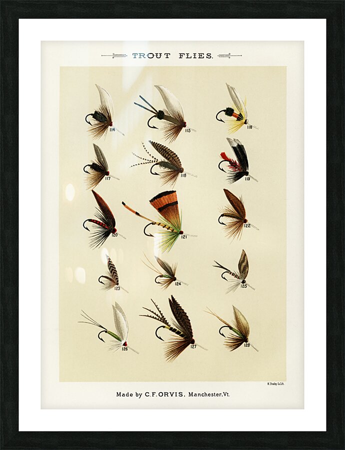 Trout Flies  Picture Frame print