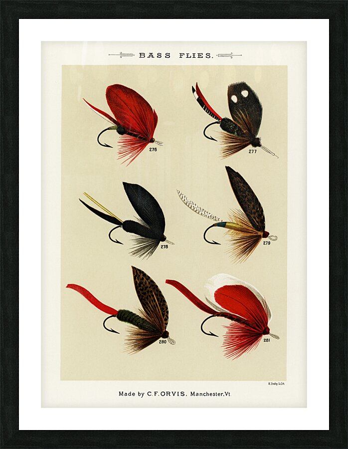 Bass Flies  Picture Frame print