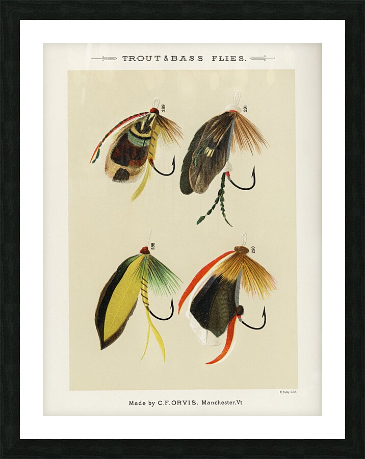 Trout & Bass Flies  Picture Frame print