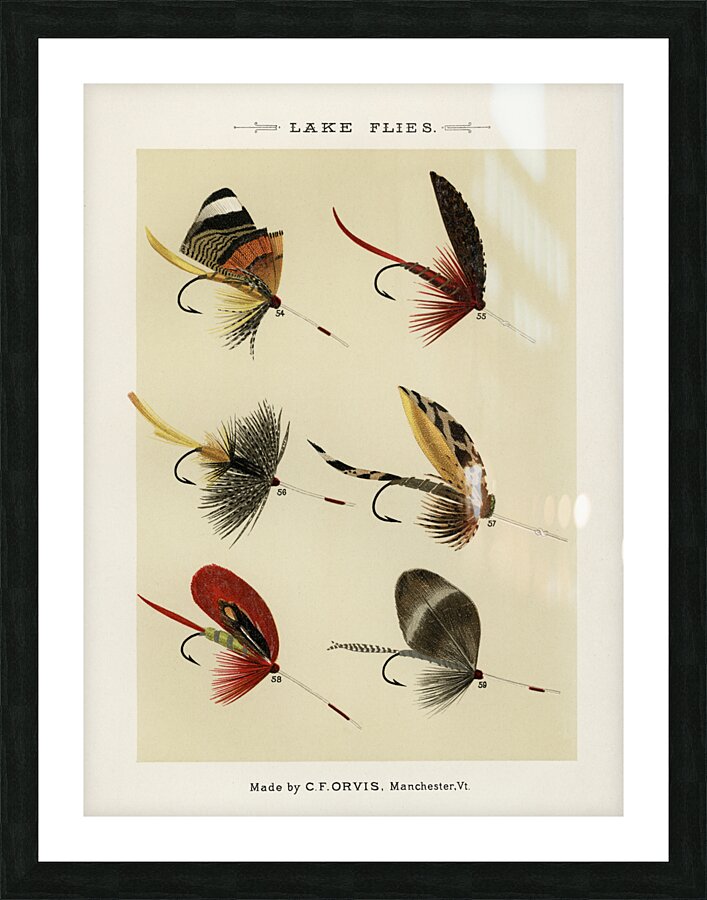 Trout & Bass Flies  Picture Frame print
