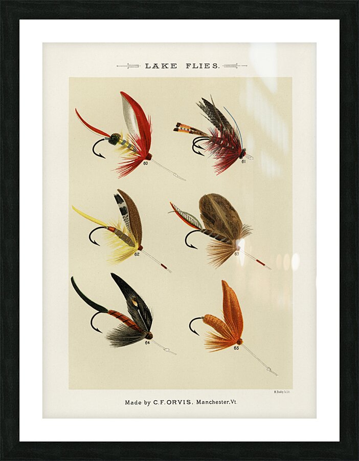 Lake Flies  Picture Frame print