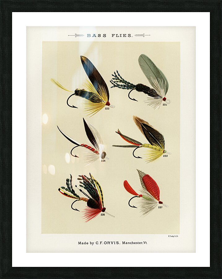 Bass Flies  Picture Frame print