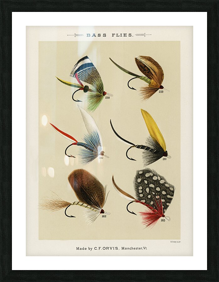 Bass Flies  Picture Frame print
