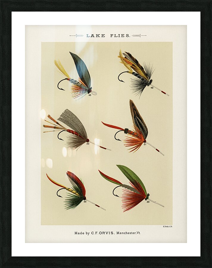 Lake Flies  Picture Frame print