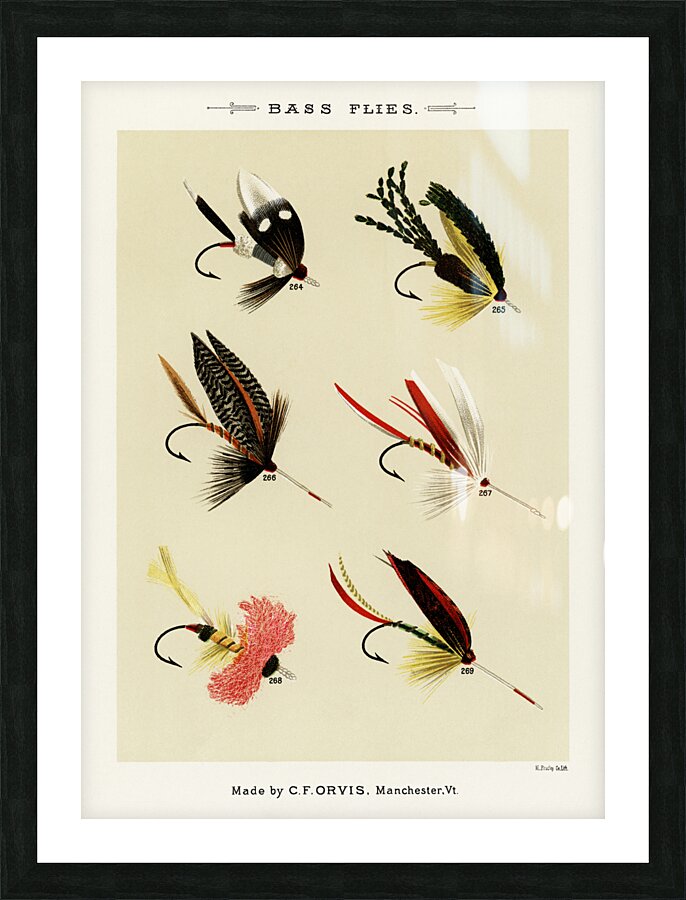 Bass Flies  Picture Frame print