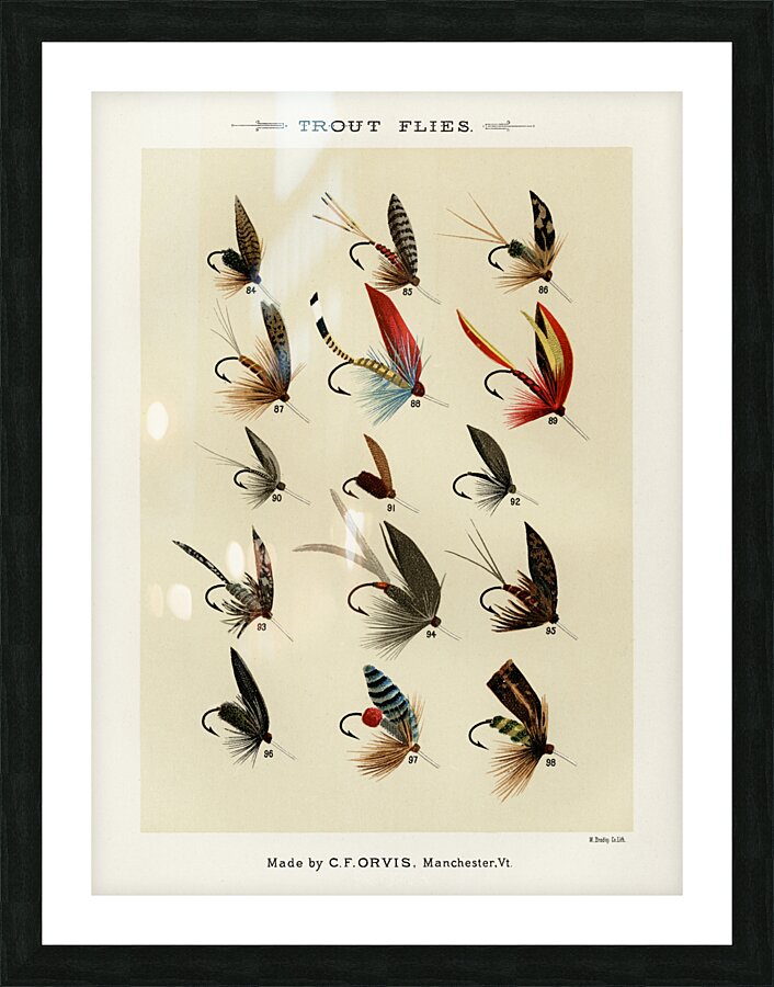 Trout Flies  Picture Frame print