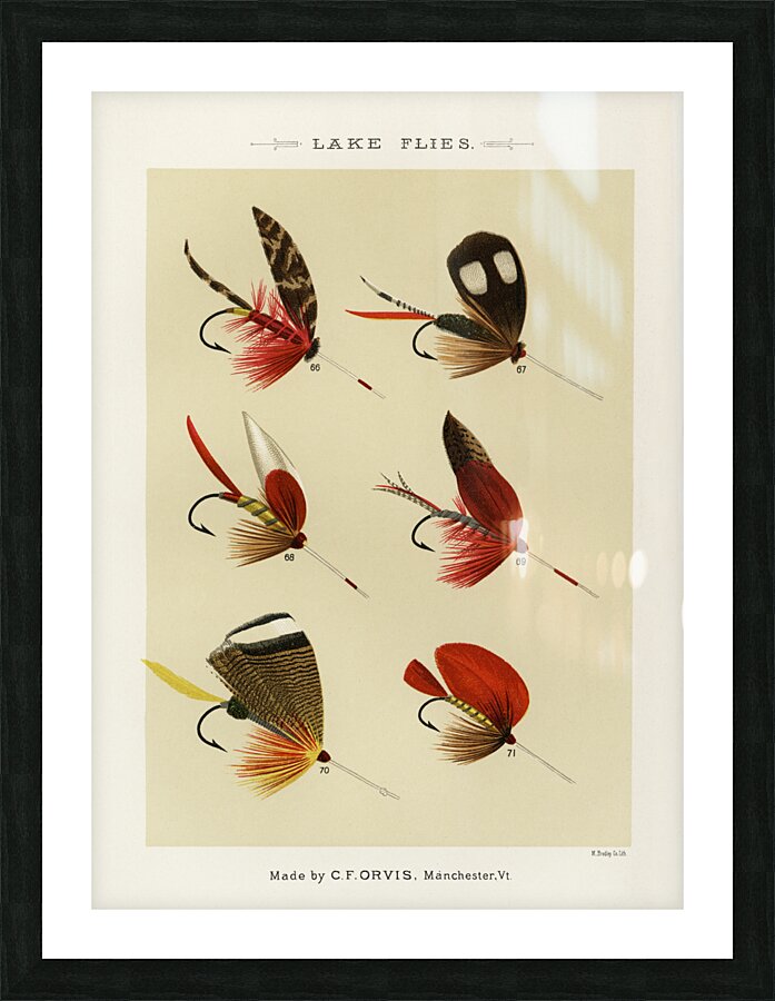 Lake Flies  Picture Frame print