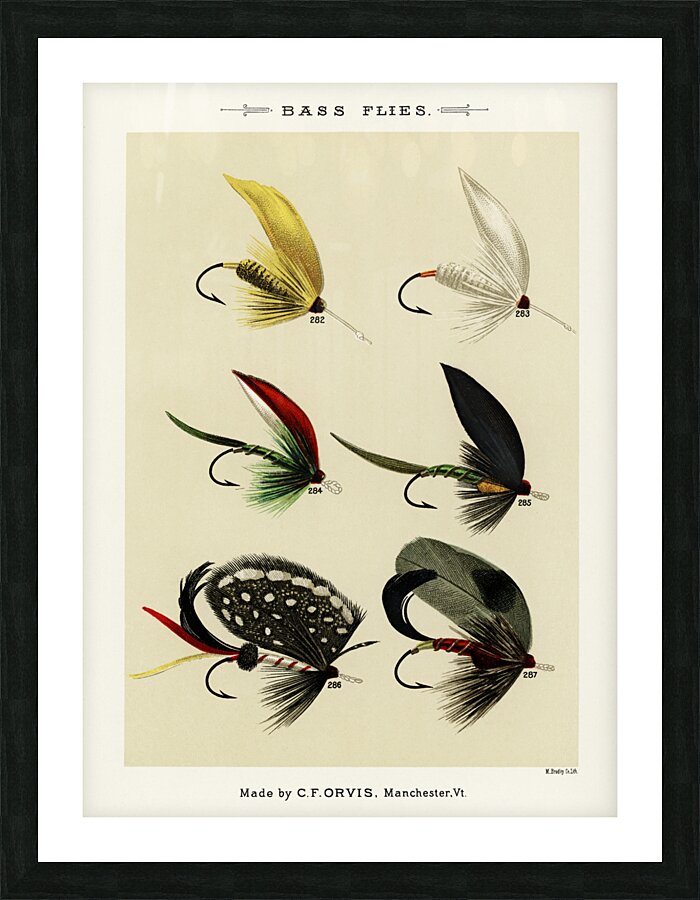 Bass Flies  Picture Frame print