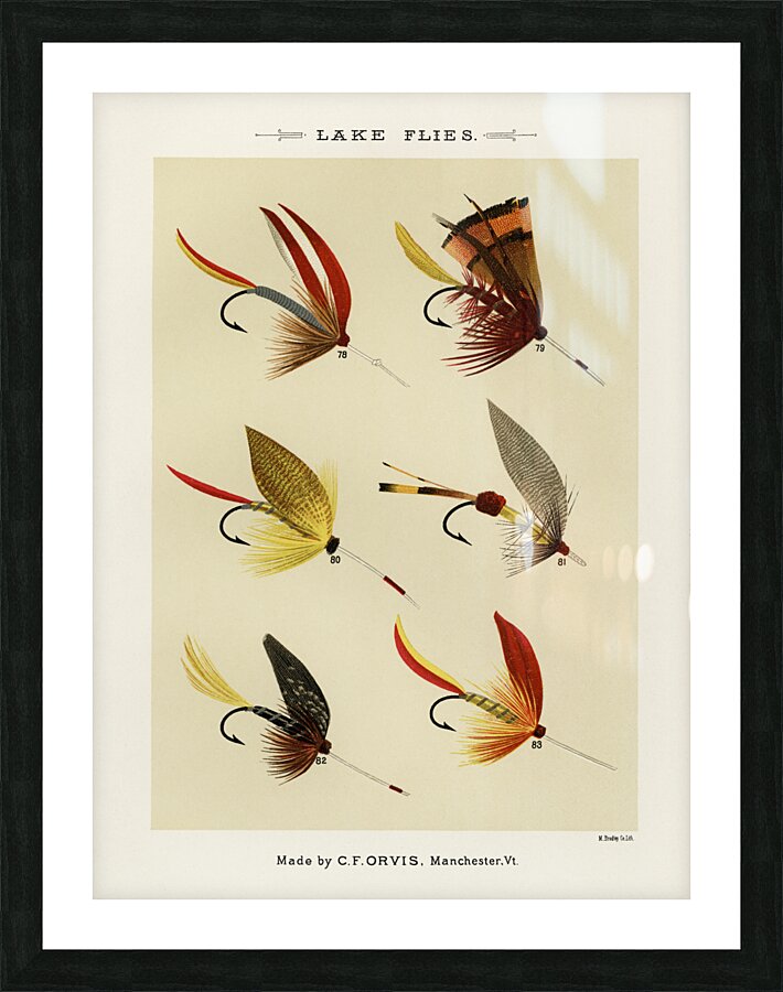 Lake Flies  Picture Frame print