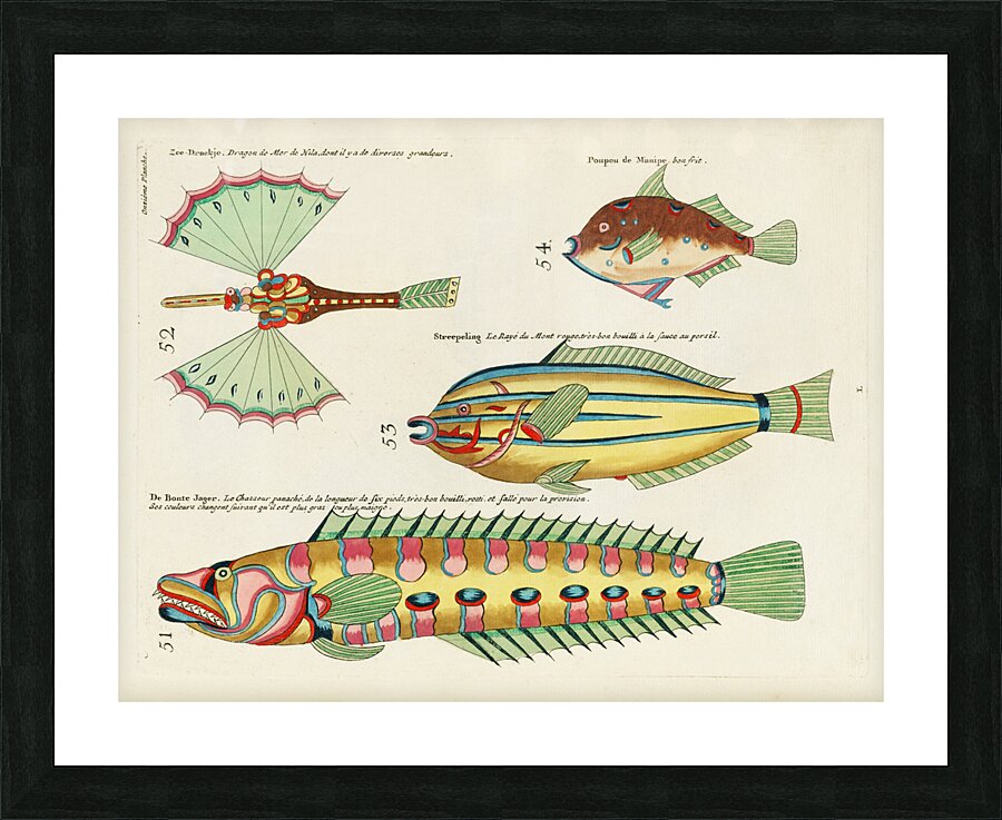 Colourful and surreal illustrations of fishes found in Moluccas Indonesia and the East Indies by Louis Renard 1678 -1746 from Histoire naturelle des plus rares curiositez de la mer des Indes 1754. Picture Frame print