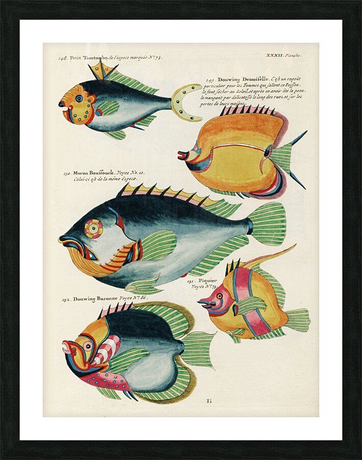 Colourful and surreal illustrations of fishes found in Moluccas Indonesia and the East Indies by Louis Renard 1678 -1746 from Histoire naturelle des plus rares curiositez de la mer des Indes 1754. Picture Frame print