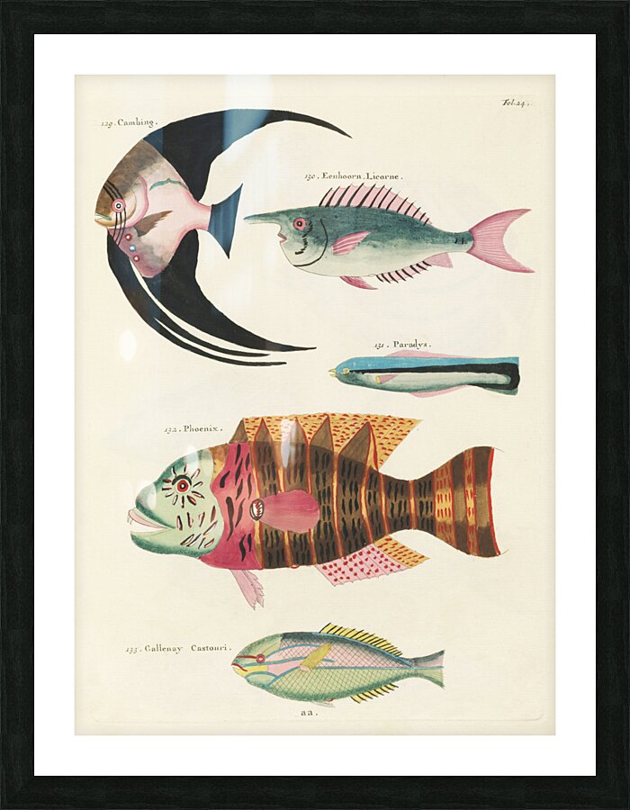 Colourful and surreal illustrations of fishes found in Moluccas Indonesia and the East Indies by Louis Renard 1678 -1746 from Histoire naturelle des plus rares curiositez de la mer des Indes 1754. Picture Frame print
