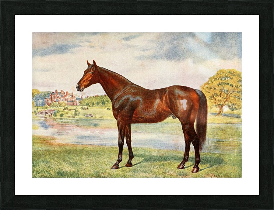 Persimmon Picture Frame print