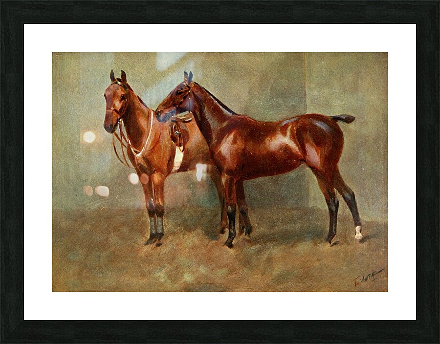 Polo Ponies Romany And Tith Owned By Sir J. Barker Frederic Whiting English 1874–1962 Picture Frame print