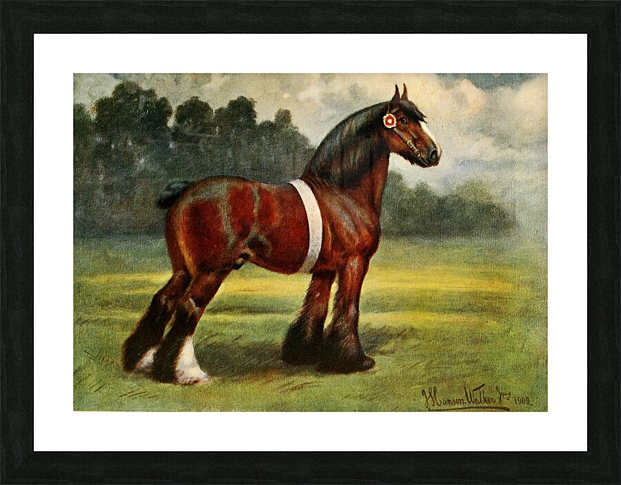 Shire Stallion Halstead Royal Duke John Hanson Walker Jr. English 1844-1933 Picture Frame print