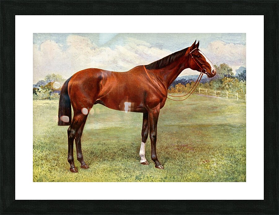 Spearmint Picture Frame print