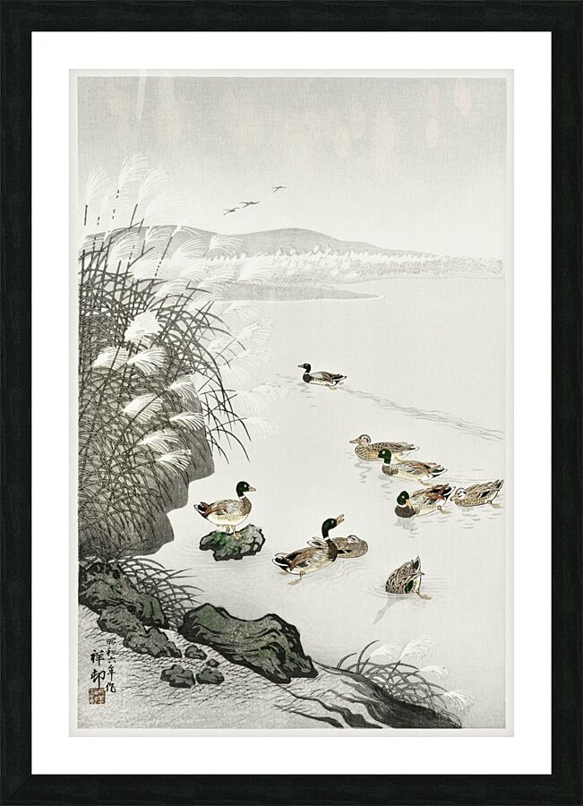 Ducks in the water 1931 by Ohara Koson 1877-1945. Picture Frame print