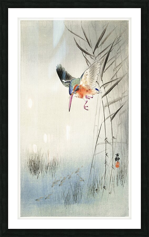 Kingfisher hunting for fish in the water 1900 by Ohara Koson 1877-1945. Picture Frame print