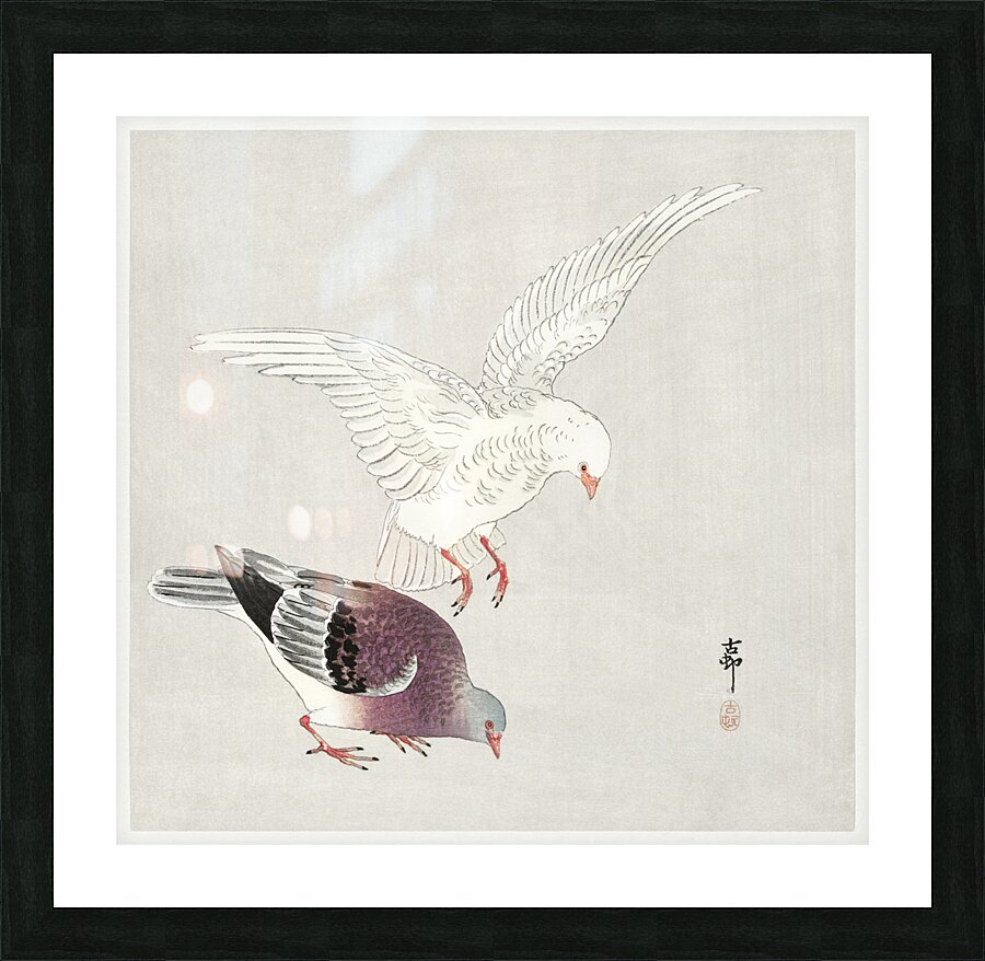 Two pigeons 1877-1945 by Ohara Koson 1877-1945. Picture Frame print