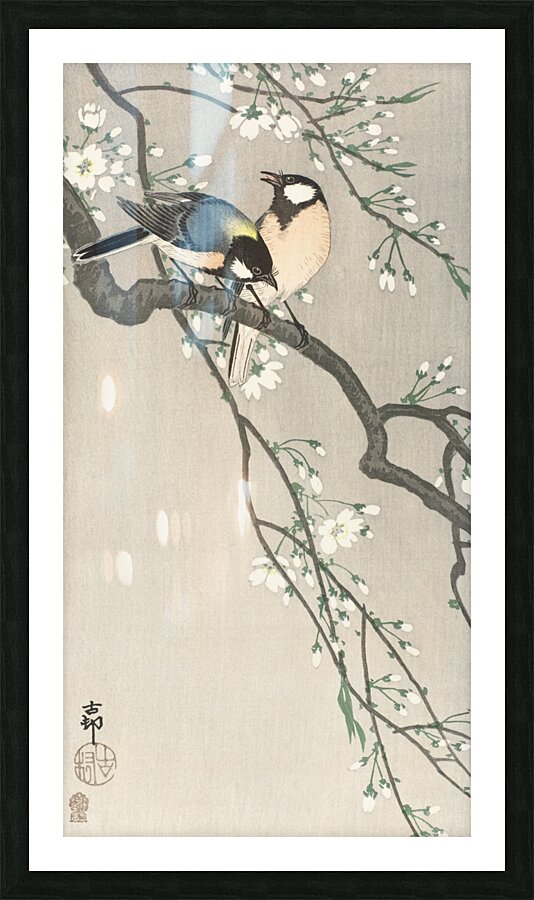 Tits on Cherry Branch 1900-1910 by Ohara Koson 1877-1945 Picture Frame print