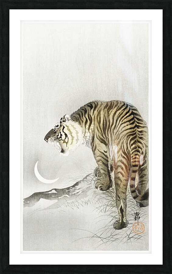 Roaring tiger 1900 - 1945 by Ohara Koson 1877-1945. Picture Frame print