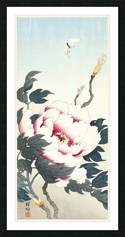 Peony with butterfly 1925 - 1936 by Ohara Koson 1877-1945. Picture Frame print