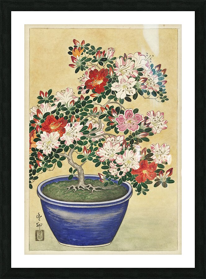 Blooming azalea in blue pot 1920 - 1930 by Ohara Koson 1877-1945. Picture Frame print