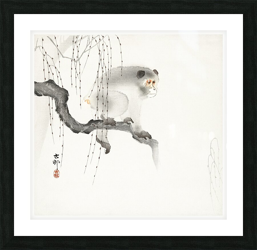 Monkey on a tree branch 1900-1930 by Ohara Koson 1877-1945. Picture Frame print
