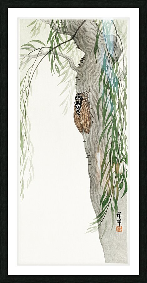 Cicada on tree 1900 - 1936 by Ohara Koson 1877-1945. Picture Frame print