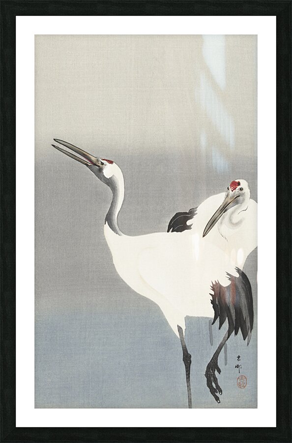 Two cranes 1900-1930 by Ohara Koson 1877-1945. Picture Frame print