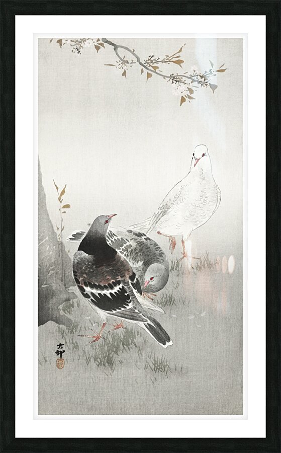 Three pigeons 1900-1930 by Ohara Koson 1877-1945. Picture Frame print