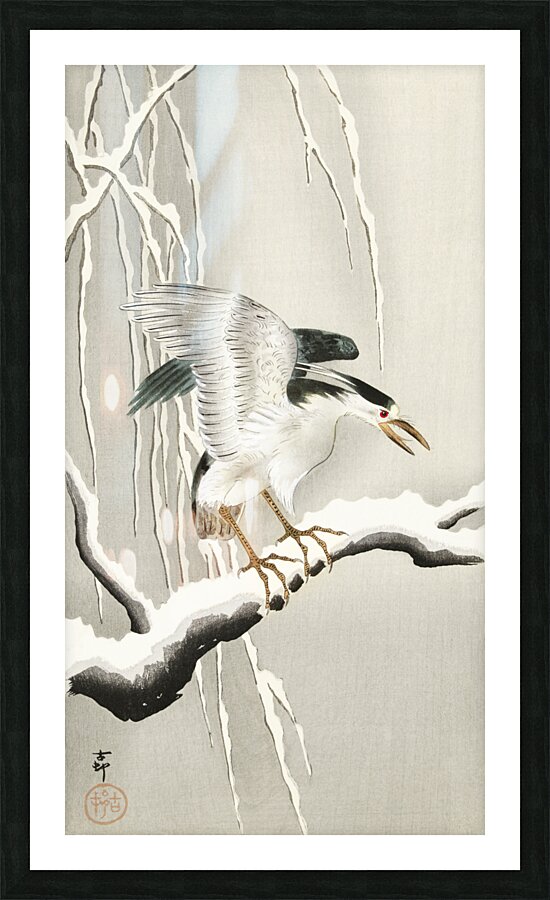 Emerge on snowy branch 1900 - 1930 by Ohara Koson 1877-1945. Picture Frame print
