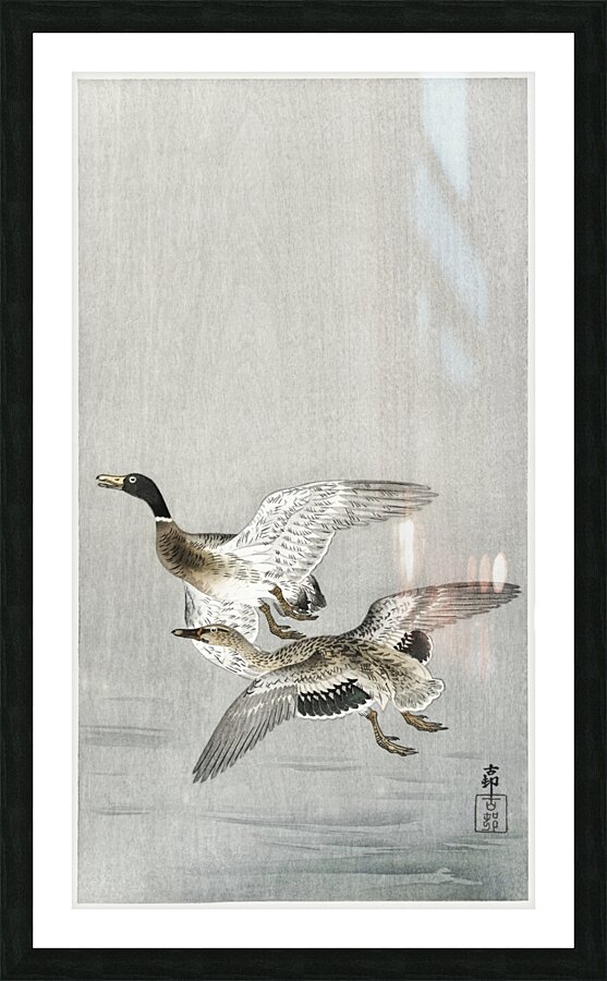 Couple of ducks 1900 - 1936 by Ohara Koson 1877-1945. Picture Frame print