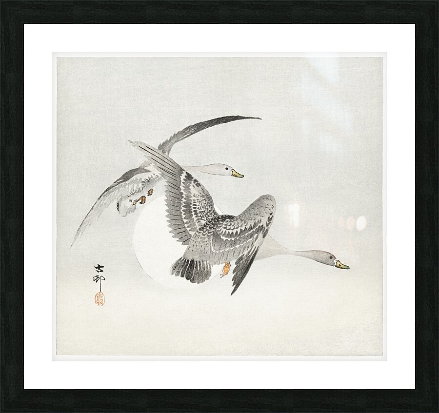 Two colt geese in flight 1900 - 1930 by Ohara Koson 1877-1945. Picture Frame print